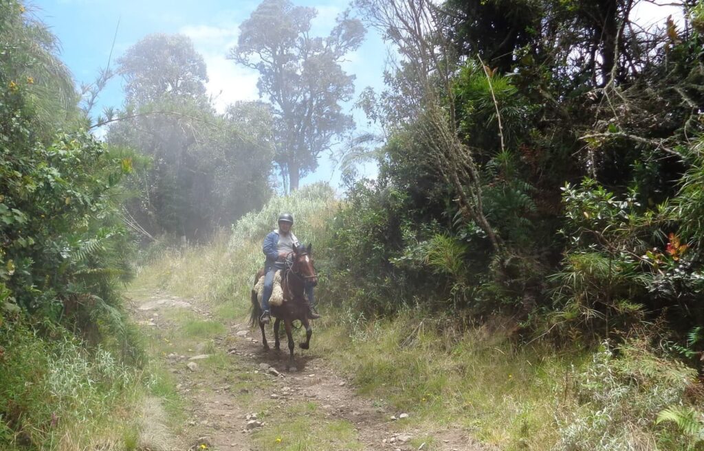 Private Riding Tours Intermediate-Advanced Horse Riders